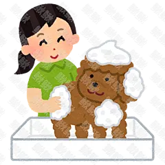 宠物店正在给狗狗洗澡的小狗狗手绘卡通插画手绘png儿童插画免扣素材1