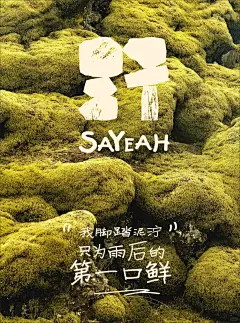 撒椒山野✖️十棠品牌 - 小红书