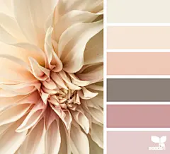 时尚配色设计方案图集丨服装产品网页室内平面海报logo图案配色