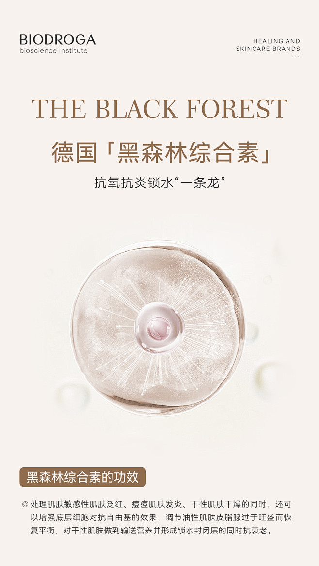 黑森林综合素_01