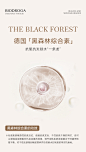 黑森林综合素_01