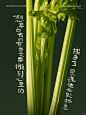 【断舍离】春日芹诗-让适合你的，成为习惯