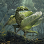 Lettuce Dragon