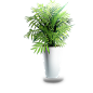 植物系抠图素材