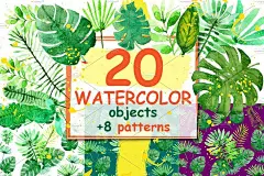 手绘水彩热带植物叶子插图png免抠设计素材 Watercolor tropical plants - 南岸设计网 nananps.com