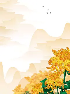 手绘菊花