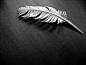 Feather | Flickr - 相片分享！