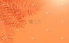 热带棕榈叶背景。夏季热带叶。异国情调的夏威夷丛林，夏季派对设计时髦的海报，传单，旗帜，卡片，封面，小