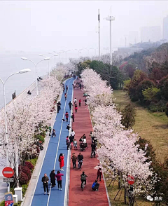 淙妈采集到滨水景观