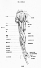 人体动态
分享教学资源http://i.youku.com/i/UMTkwNjI3NjU4NA==