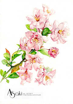 J小花采集到画趣