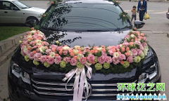 墨香销流年采集到花车