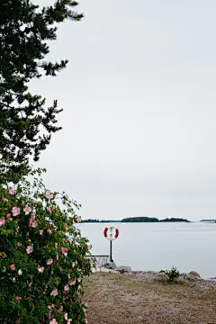 夏日清新壁纸|合成素材|风景合成|沙滩|海边|鲜花