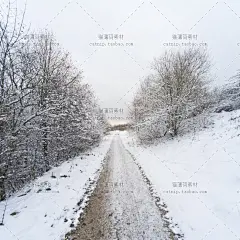 gq298|JPG高清图片林海雪原冬天户外风车森林banner背景海报素材-淘宝网