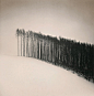 Michael Kenna
Forest Edge, Hokuto, Hokkaido, Japan. 2004