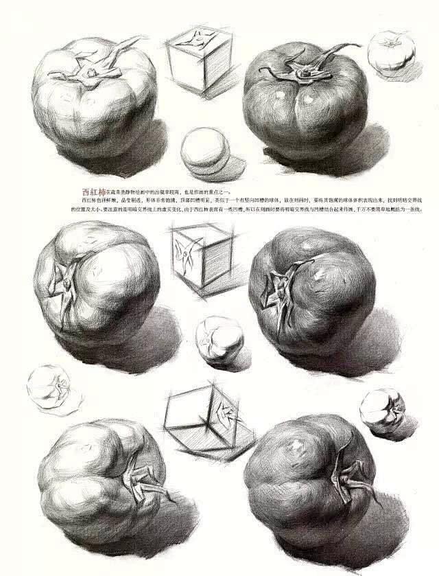 素描静物之水果、蔬菜步骤解析