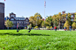 美国宾夕法尼亚大学公共绿地14