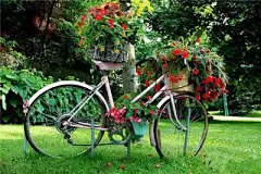 点缀花园设计的创意自行车绿色植物小品