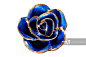 蓝色鎏金玫瑰花
