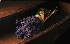 等待爱情的薰衣草第3张壁纸,等待爱情的薰衣草第3张电脑桌面壁纸-回车桌面