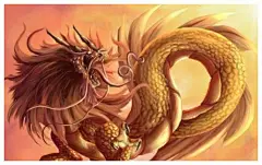 青龙 朱雀 朱雀 玄武_百度图片搜索