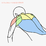 #SAI资源库#KITAJIMAのお絵かき研究所，gif动态图，动漫人物很棒的绘画参考，自己借鉴，转需~#设计秀#