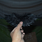 小翅膀白色黑色羽毛天使翅膀百天影楼拍摄道具六一儿童节礼物定做-淘宝网