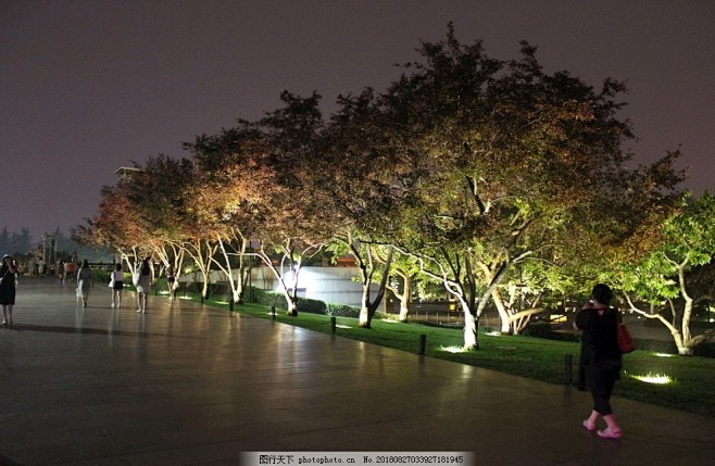 夜景树木亮化的搜索结果_360图片