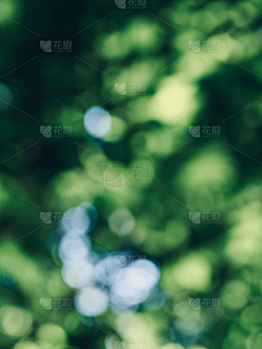 呆呆的鱼头采集到艺术背景