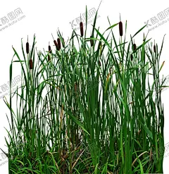 绿色植物 【酷图网】绿色植物,热带树叶,小清新树叶,植物背景,背景简约,植物树叶,竹排,竹栏杆,电视背景墙,背景墙,装修,背景墙效果图,室内背景墙,效果图,免扣,壁画,装饰画,现代,壁纸,墙纸,沙发背景墙,砖墙,墙面,绿色,藤蔓,蔷薇,玫瑰,蝴蝶,树叶,边框,植物