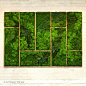 Eco-Friendly Botanical Wall Art Brings the Self-Sustaining Beauty of Nature Indoors - My Modern Met: 