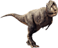 恐龙动物1