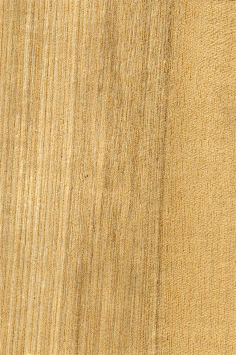 com家具通用木纹贴图a-小玉