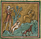 罗切斯特动物寓言集（The Rochester Bestiary），图片取自中世纪时期最著名的一个版本插画，现藏于伦敦大英图书馆。初期作品来源于希腊，在翻译后传入欧洲内陆再到不列颠，后又在十二至十三世纪前后进行了将近百篇的增补，而且原版的故事也大部分遭到修改，故事大部分讲述的是一些奇异的幻想生物和或和人类的故事，而众多的臆想生物也让此书得名。这部手抄本史学家判断最早是存放于圣安德鲁修道院，后遭偷窃，最后几经转手，在十八世纪被捐赠给大英图书馆。