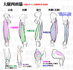 M影恩采集到人像绘画教程