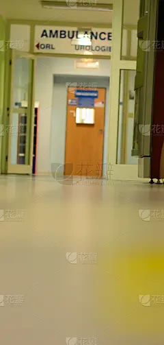走廊,健康保健,电话号码簿,图表,地板,交通箭头标志,卫生间,指着,相伴