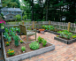 Garden Design Ideas, Renovations & Photos with with a Vegetable Patch