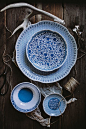 blue patterned dinnerware from q squared nyc | dinnerware + tableware: