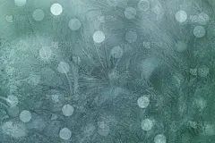 彩色图片,式样,霜,多色的,自然,背景虚化,图像特效,绿色,背景聚焦,海洋