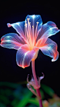stunning nature photo, luminous fiber optics crystal lily