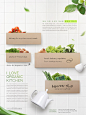 瓜果蔬菜美食食材水果鸡蛋青菜早餐营养海报PSD分层素材