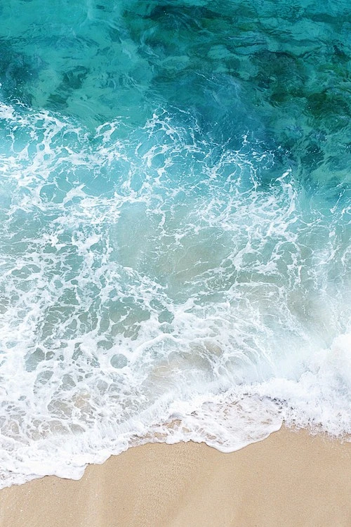 Photography.内的花瓣采集图片-Riovermont