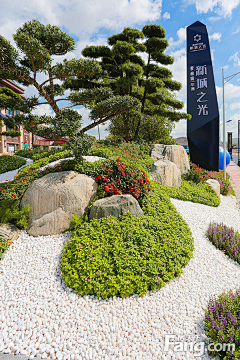 Wesley88采集到植物