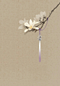 来自相册