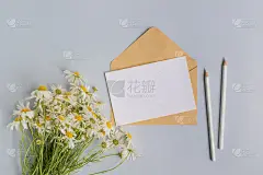 模拟白色贺卡和信封与白色黛西