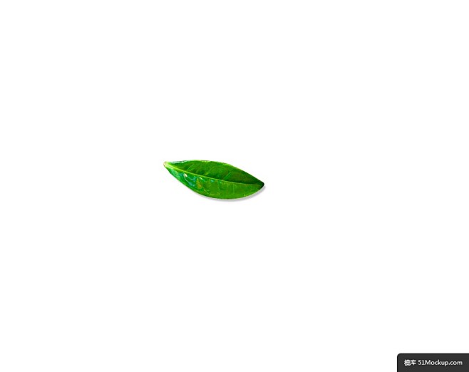 叶子模板免扣png