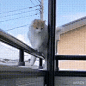 wlt
磨剑……