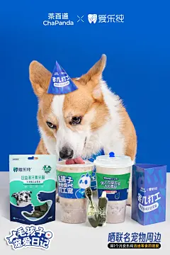 爱乐纯 宠物零食 (10)
