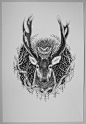 Black Woods on Behance