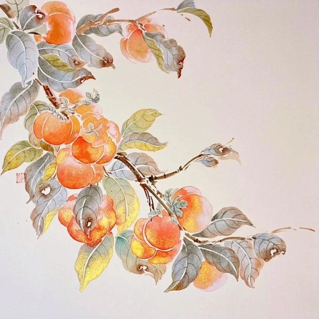 没骨柿子